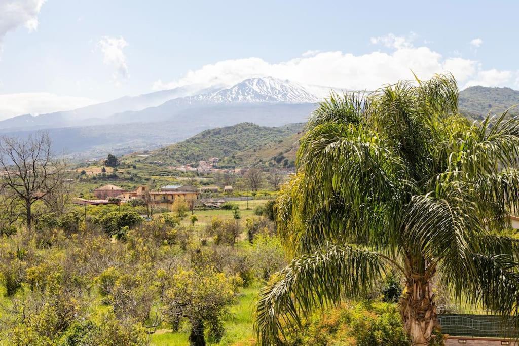 Villa Graziosa Trappitello Εξωτερικό φωτογραφία